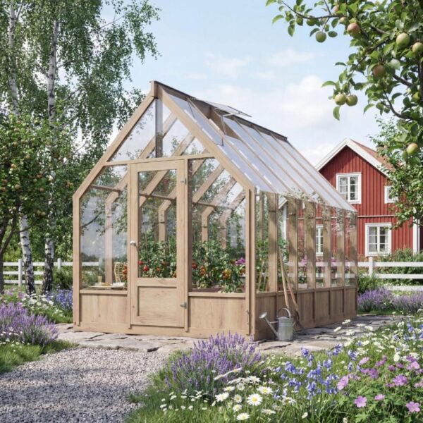 Växthus 8,2 m² | Träväxthus med härdat glas | Extra hög takhöjd