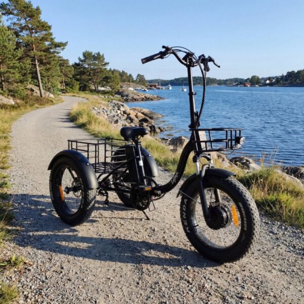 Trehjulig elcykel | Fatbike-däck | 6 växlar Shimano | 250W  13Ah | Svart